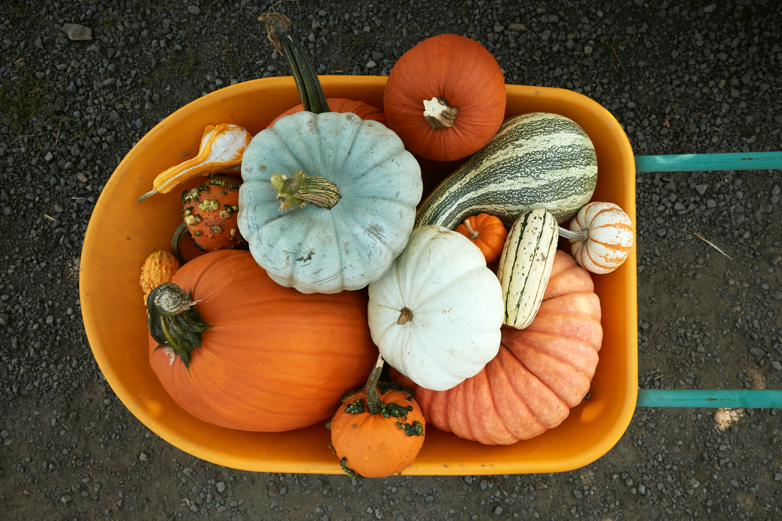 The 15 Trendiest Halloween Foods & Recipes, According To Google Searches