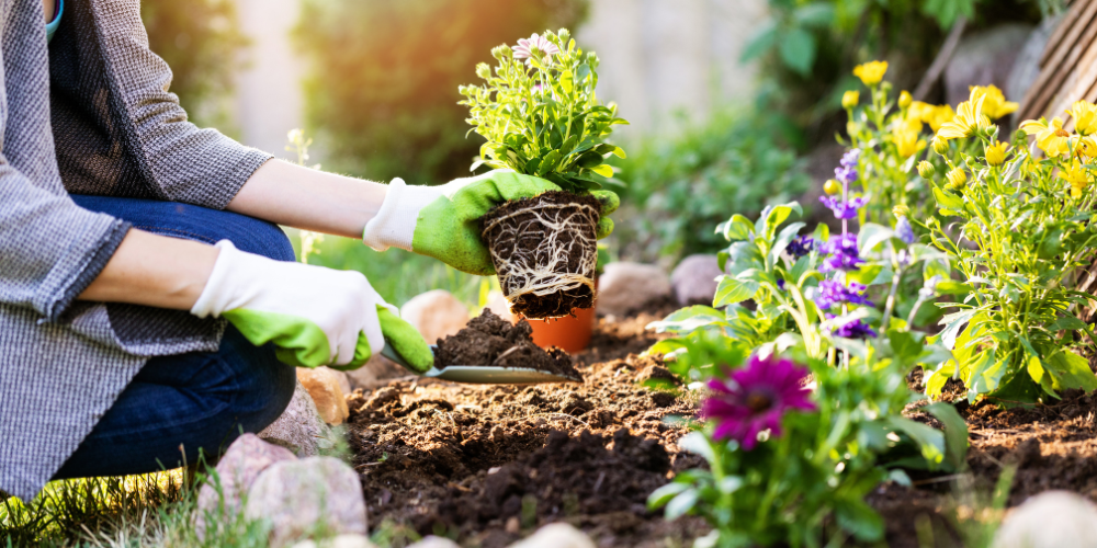 spring-planting-guide:-best-veggies-and-flowers-for-slc-gardens-–-millcreek-gardens